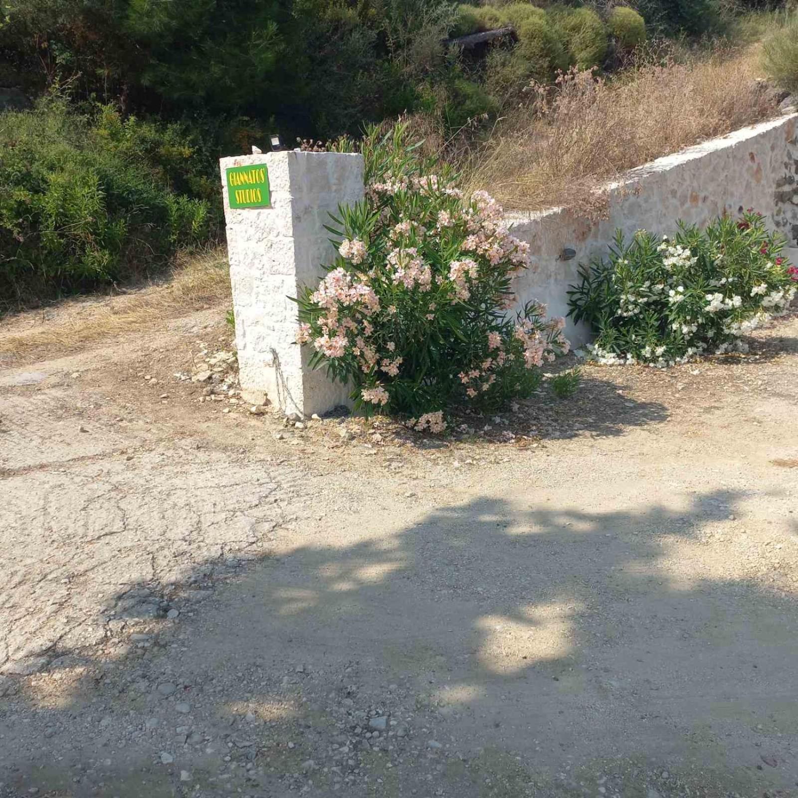 Giannatos' Studios - Makis Poros  Eksteriør billede